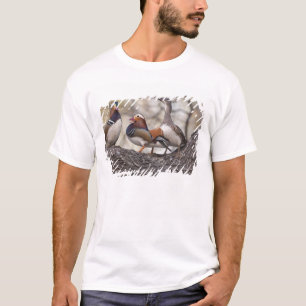 Zwei Männchen buhlen um ein Mandarinentenweibchen T-Shirt
