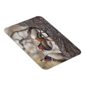 Zwei Männchen wetteifern um eine Mandarinenente Magnet (Rechte Seite)