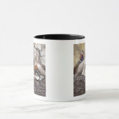 Zwei Männchen wetteifern um eine Mandarinenente Tasse (Zentrum)