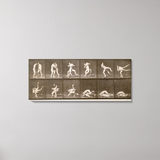 Zwei Männer Wrestling, Platte 347 von 'Animal Loco Leinwanddruck (Vorderseite)