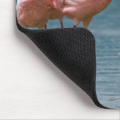 Zwei männliche Kleinere Flamingos (Phoenicopterus Mousepad (Ecke)