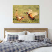 Zwei männliche Ringhals-Fasane kämpfen. Leinwanddruck (Insitu (Schlafzimmer))