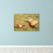 Zwei männliche Ringhals-Fasane kämpfen. Leinwanddruck (Insitu (Holzboden))