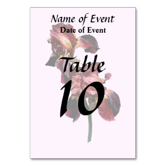 Zwei Maroon und Gelbe Ire Tischnummer