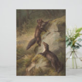 Zwei Martens in Woodland (Tierart) Karte (Stehend Vorderseite)
