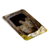 zwei Mäuse am Türmagnet Magnet (Rechte Seite)