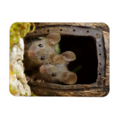 zwei Mäuse am Türmagnet Magnet (Horizontal)