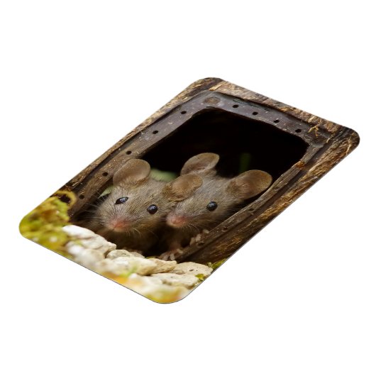 zwei Mäuse am Türmagnet Magnet (Linke Seite)