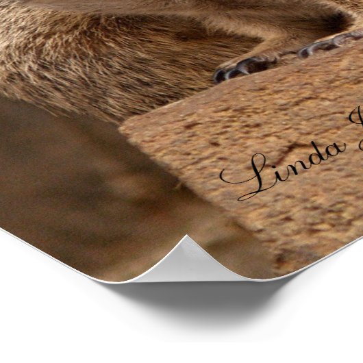 Zwei Meerkat Canvas Print Poster (Ecke)