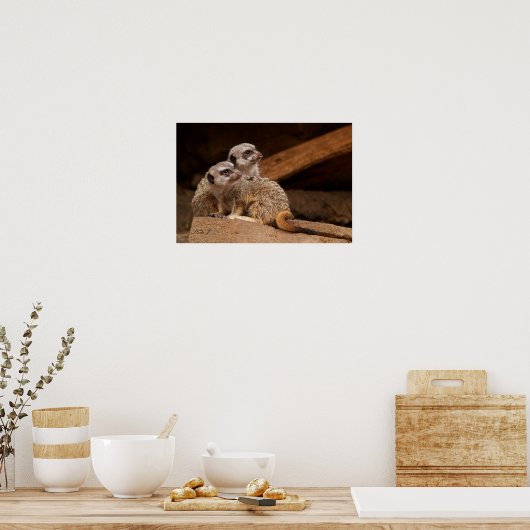 Zwei Meerkat Canvas Print Poster (Küche)