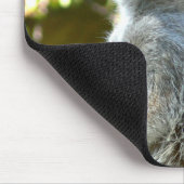 Zwei Meerkats Mousepad (Ecke)
