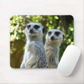 Zwei Meerkats Mousepad (Mit Mouse)