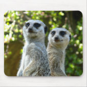 Zwei Meerkats Mousepad (Vorne)