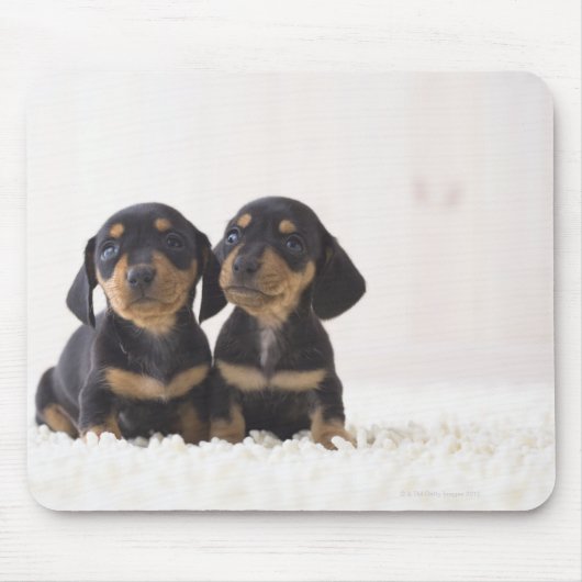 Zwei Mini-Dackeln Mousepad (Vorne)