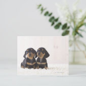 Zwei Mini-Dackeln Postkarte (Stehend Vorderseite)