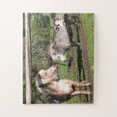 Zwei Mini-Ponys in einem Dock Puzzle (Vertikal)