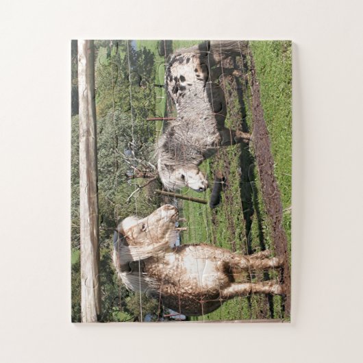 Zwei Mini-Ponys in einem Dock Puzzle (Vertikal)