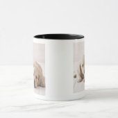 Zwei Miniatur-Dackel Tasse (Zentrum)