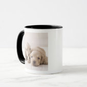 Zwei Miniatur-Dackel Tasse (Vorderseite Links)