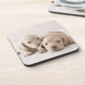 Zwei Miniatur-Dackel Untersetzer (Linke Seite)