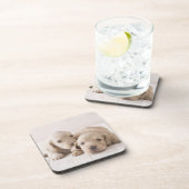 Zwei Miniatur-Dackel Untersetzer (Rechte Seite)