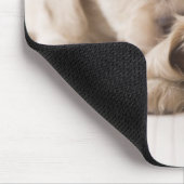 Zwei Miniatur-Dackeln Mousepad (Ecke)