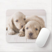 Zwei Miniatur-Dackeln Mousepad (Mit Mouse)