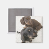 Zwei Miniaturbilder, Studio Shot Magnet (Vorderseite/Rückseite)