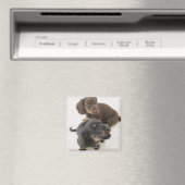 Zwei Miniaturbilder, Studio Shot Magnet (In Situ (Geschirrspüler))