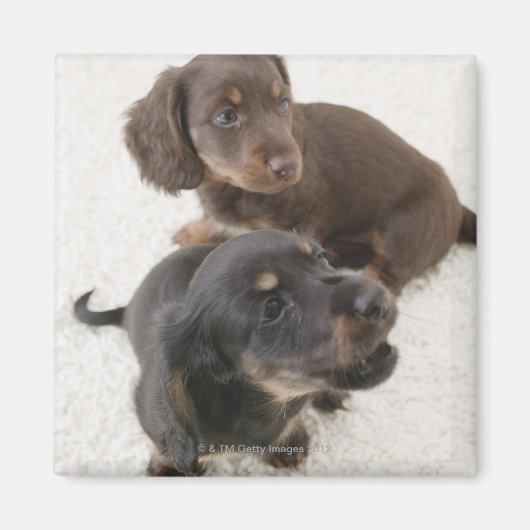 Zwei Miniaturbilder, Studio Shot Magnet (Vorne)
