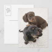 Zwei Miniaturbilder, Studio Shot Postkarte (Vorne/Hinten)