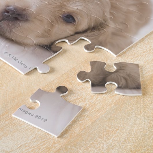 Zwei MiniaturDackeln Puzzle (Seite)