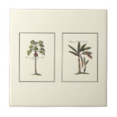 Zwei Miniaturpalmen Gerahmt Fliese (Vorderseite)
