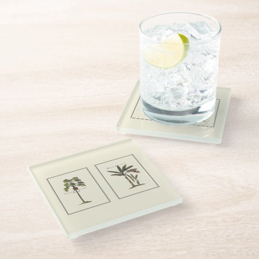 Zwei Miniaturpalmen Gerahmt Glasuntersetzer (Schrägansicht)