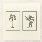 Zwei Miniaturpalmen Gerahmt Glasuntersetzer (Vorderseite)