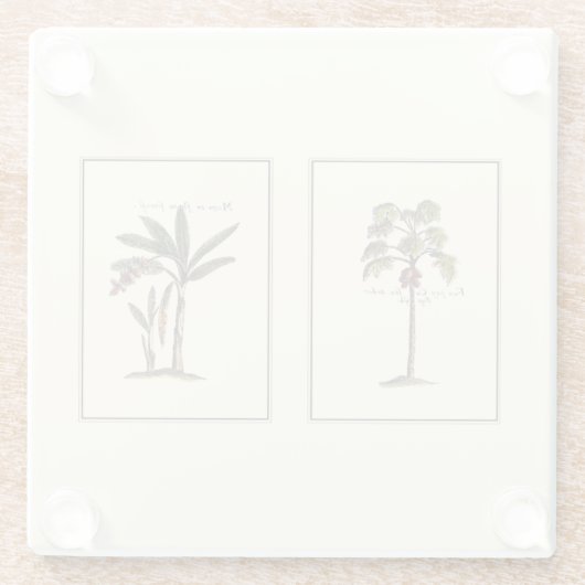 Zwei Miniaturpalmen Gerahmt Glasuntersetzer (Rückseite)