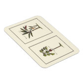 Zwei Miniaturpalmen Gerahmt Magnet (Rechte Seite)