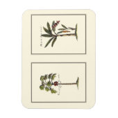 Zwei Miniaturpalmen Gerahmt Magnet (Vertikal)