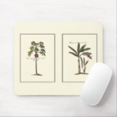 Zwei Miniaturpalmen Gerahmt Mousepad (Mit Mouse)