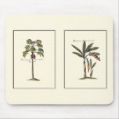 Zwei Miniaturpalmen Gerahmt Mousepad (Vorne)