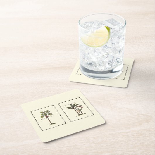 Zwei Miniaturpalmen Gerahmt Rechteckiger Pappuntersetzer (Vor Ort)