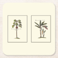 Zwei Miniaturpalmen Gerahmt