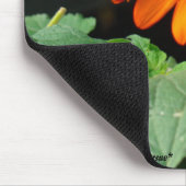 Zwei Monarchen Mousepad (Ecke)
