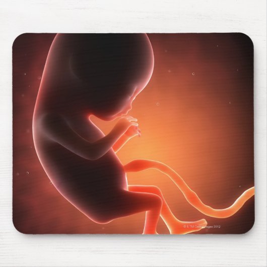 Zwei Monate alter Fetus Mousepad (Vorne)