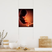 Zwei Monate alter Fetus Poster (Küche)