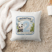 Zwei Monate der Wunder  Kissen (Decke)