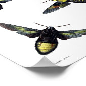 Zwei Monate Poster (Ecke)