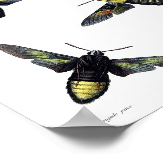 Zwei Monate Poster (Ecke)