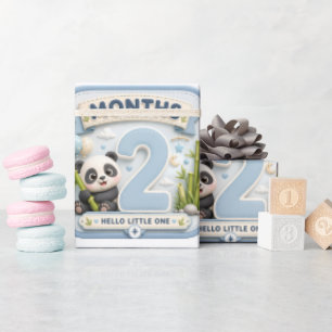 Zwei Monate voller Wunder Geschenkpapier