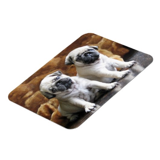 Zwei Mops Magnet (Linke Seite)